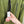 C.P. Company Green Pro-Tek Primaloft Jacket