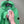 Stone Island Green Hoodie
