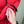 Stone Island Red Crinkle Reps Down Gilet