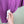 Stone Island Purple T-Shirt