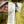 C.P. Company Yellow D.D. Shell Down Jacket