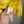 Stone Island Yellow Overshirt