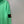 Stone Island Green Hoodie