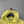 Stone Island Yellow Hoodie