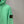 Stone Island Green Hoodie