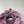 Stone Island Rose Quartz Soft Shell Jacket