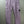 Stone Island Purple RE-T Cargo Bottoms