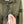Stone Island Khaki Soft Shell Jacket