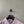 Stone Island Light Pink Slim Fit Polo