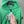 Stone Island Green Zipped Hoodie