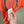 Stone Island Orange T-Shirt
