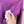 Stone Island Purple Jumper