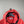 Stone Island Coral Soft Shell Jacket