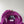 Stone Island Purple Soft Shell Jacket