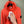 Stone Island Coral Hoodie