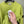 Stone Island Lime Jumper