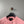 Stone Island Coral Shadow Project Jumper