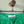 Stone Island Green Shorts