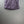 Stone Island Purple Nylon Metal Shorts