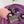 C.P. Company Purple Soft Shell Jacket
