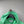 Stone Island Green Hoodie