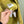 C.P. Company Yellow Soft Shell Jacket