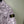 Stone Island Purple Pigment Camo Short Sleeve Overshirt
