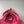 Stone Island Pink Hoodie