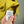Stone Island Yellow Jumper