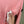 Stone Island Pink Jumper