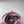 Stone Island Pink Soft Shell Jacket
