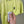 Stone Island Pistachio T-Shirt
