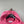 Stone Island Pink Hoodie