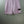 Stone Island Pink Shorts