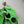 C.P. Company Green Soft Shell Jacket