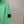Stone Island Green Hoodie