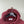 Stone Island Burgundy Hoodie