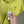 Stone Island Lime Slim Fit Polo