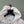 C.P. Company White Zipped Hoodie