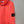 Stone Island Coral Hoodie