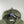 Stone Island Green Supima Smock