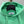 Stone Island Green Hoodie