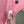 Stone Island Pink Slim Fit Polo