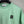 Stone Island Green T-Shirt