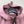 Stone Island Rose Quartz Soft Shell Jacket