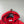 Stone Island Red Crinkle Reps Jacket