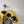 C.P. Company Yellow Soft Shell Jacket