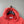 Stone Island Coral Hoodie