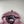 Stone Island Rose Quartz Soft Shell Jacket