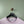 Stone Island Pink Jumper